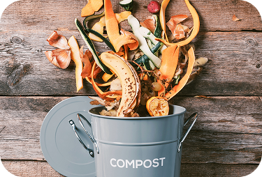 Comment bien composter ?